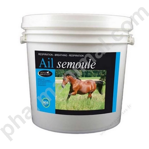 AIL SEMOULE 	seau/1 kg 	pdr or